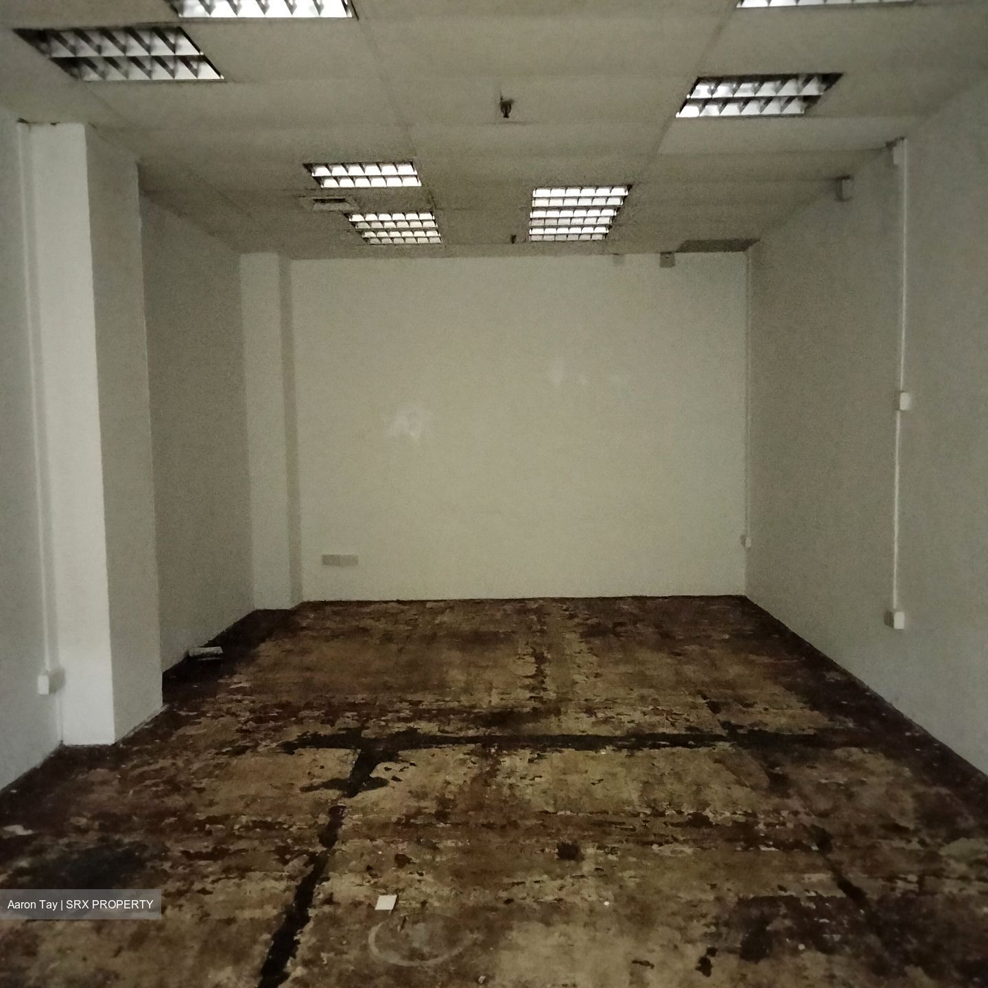 Lucky Plaza (D9), Retail #553730151
